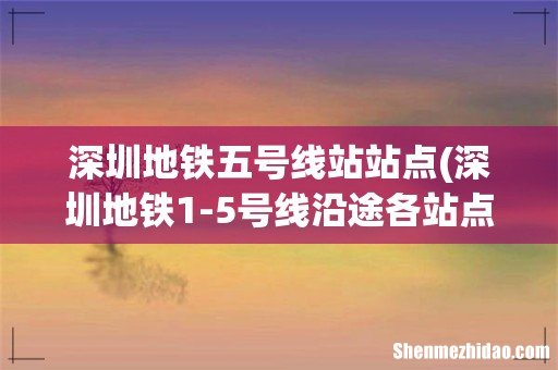 深圳地铁1-5号线沿途各站点 深圳地铁五号线站站点