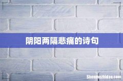 阴阳两隔悲痛的诗句