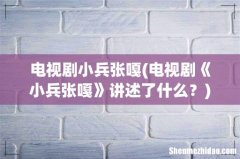 电视剧《小兵张嘎》讲述了什么？ 电视剧小兵张嘎