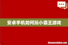 安卓手机如何玩小霸王游戏