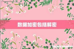 数据加密包括解密