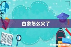 白象怎么火了