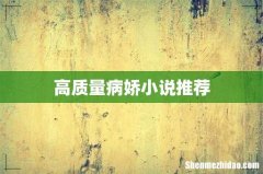 高质量病娇小说推荐