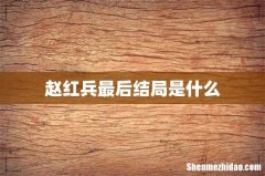 赵红兵最后结局是什么