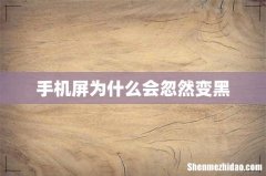 手机屏为什么会忽然变黑