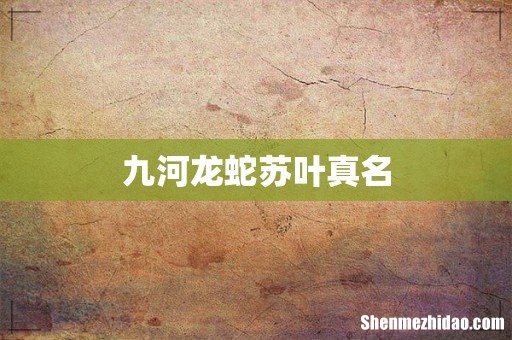 九河龙蛇苏叶真名