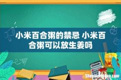 小米百合粥的禁忌 小米百合粥可以放生姜吗
