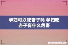 孕妇可以吃杏子吗 孕妇吃杏子有什么危害