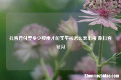 抖音月付要多少额度才能买平板怎么套出来 刷抖音包月