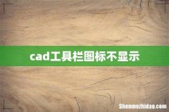 cad工具栏图标不显示