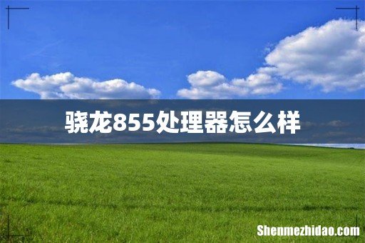 骁龙855处理器怎么样