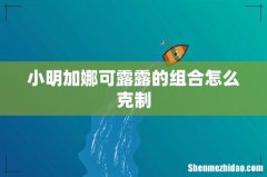 小明加娜可露露的组合怎么克制