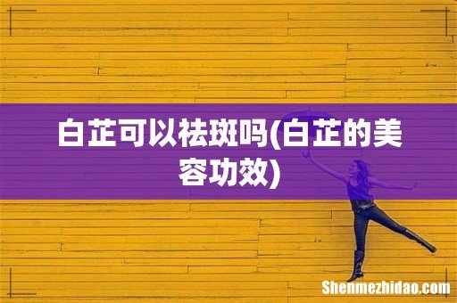 白芷的美容功效 白芷可以祛斑吗