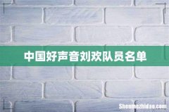 中国好声音刘欢队员名单