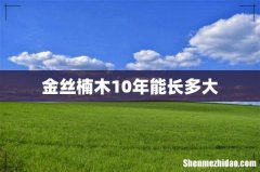 金丝楠木10年能长多大
