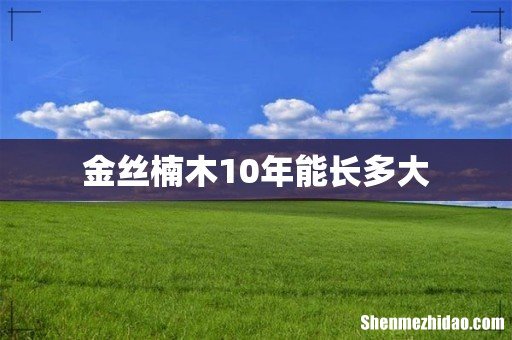 金丝楠木10年能长多大