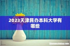 2023天津民办本科大学有哪些