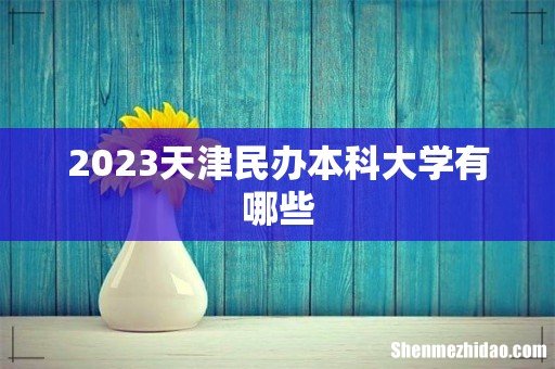 2023天津民办本科大学有哪些