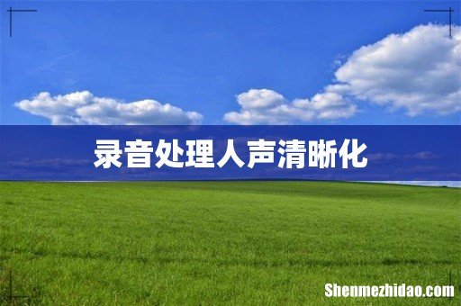 录音处理人声清晰化