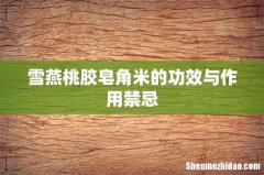 雪燕桃胶皂角米的功效与作用禁忌
