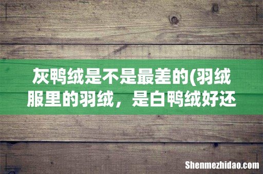 羽绒服里的羽绒,是白鸭绒好还是灰鸭绒好?灰鹅绒好不好? 灰鸭绒是不是最差的