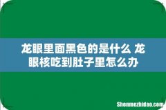 龙眼里面黑色的是什么 龙眼核吃到肚子里怎么办