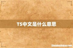 TS中文是什么意思