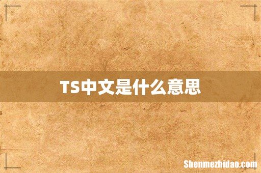 TS中文是什么意思