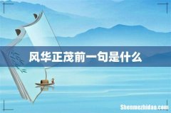 风华正茂前一句是什么