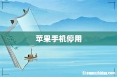 苹果手机停用
