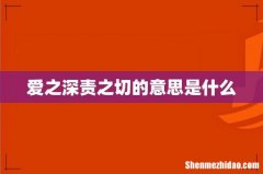 爱之深责之切的意思是什么