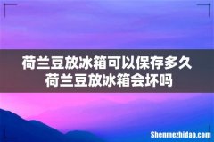 荷兰豆放冰箱可以保存多久 荷兰豆放冰箱会坏吗