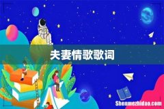 夫妻情歌歌词