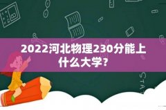 2022河北物理230分能上什么大学？