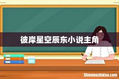 彼岸星空辰东小说主角