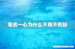 苇名一心为什么不用不死斩