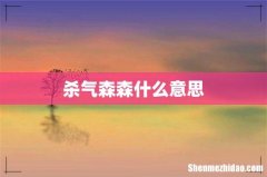 杀气森森什么意思