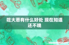 吃大葱有什么好处 现在知道还不晚