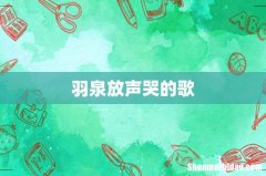 羽泉放声哭的歌