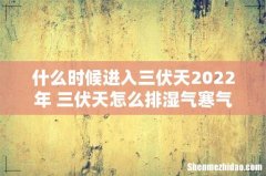 什么时候进入三伏天2022年 三伏天怎么排湿气寒气有哪些方法
