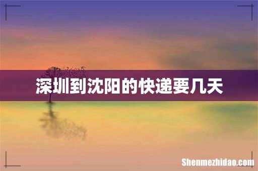 深圳到沈阳的快递要几天