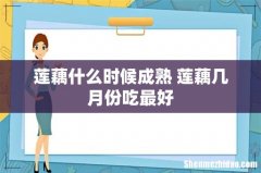 莲藕什么时候成熟 莲藕几月份吃最好