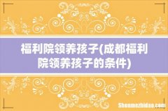 成都福利院领养孩子的条件 福利院领养孩子
