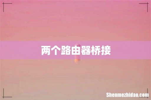 两个路由器桥接