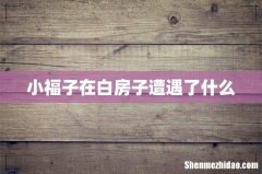 小福子在白房子遭遇了什么