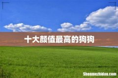 十大颜值最高的狗狗