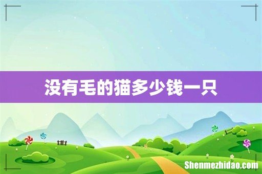没有毛的猫多少钱一只