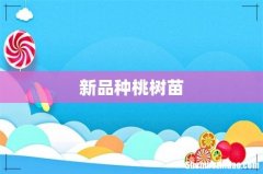 新品种桃树苗