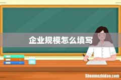 企业规模怎么填写