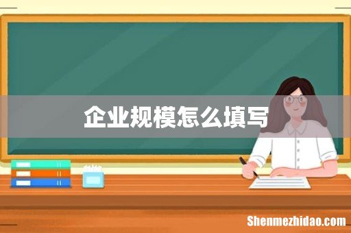 企业规模怎么填写